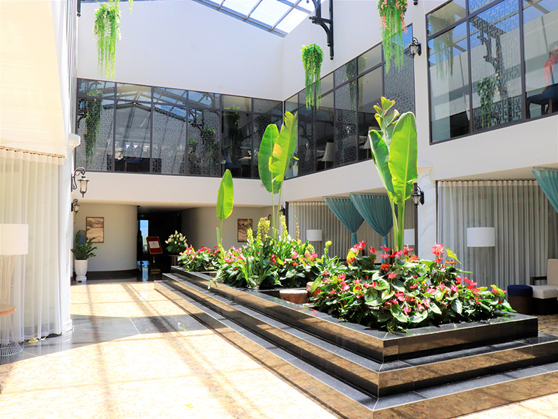 Lotus Aroma Sapa Hotel