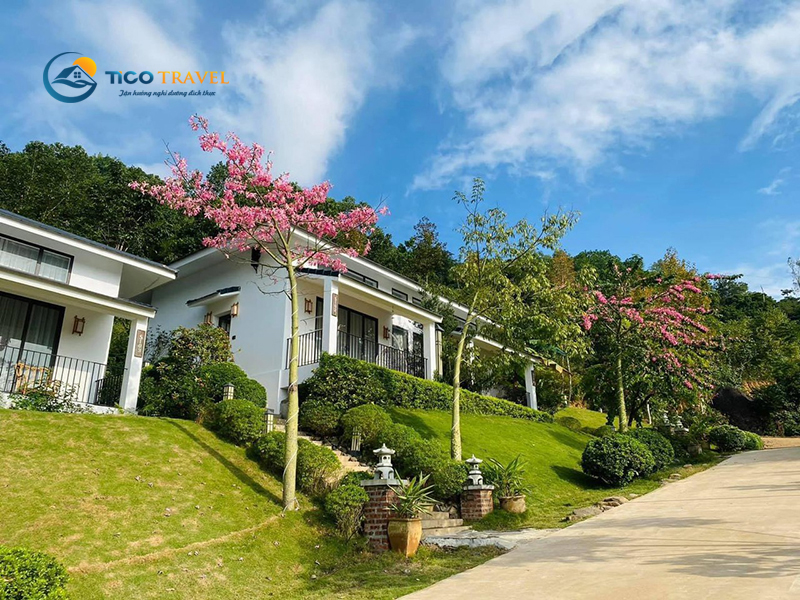 Khách sạn Flamingo Đại Hải