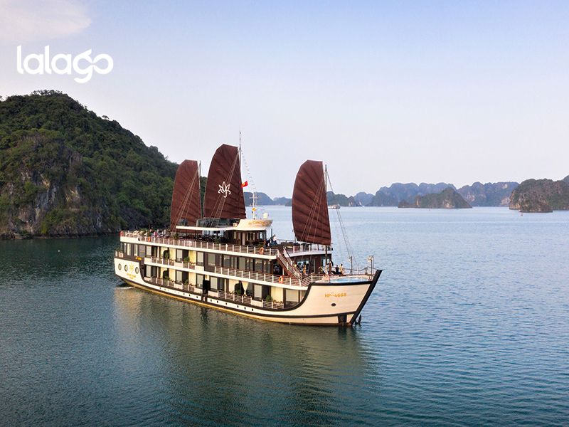 Khách sạn Flamingo Đại Hải