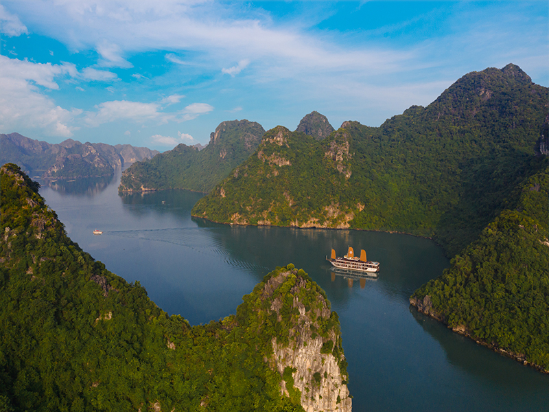Peony Cruise Lan Ha Bay