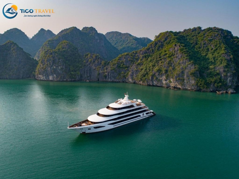 Scarlet Pearl Cruise