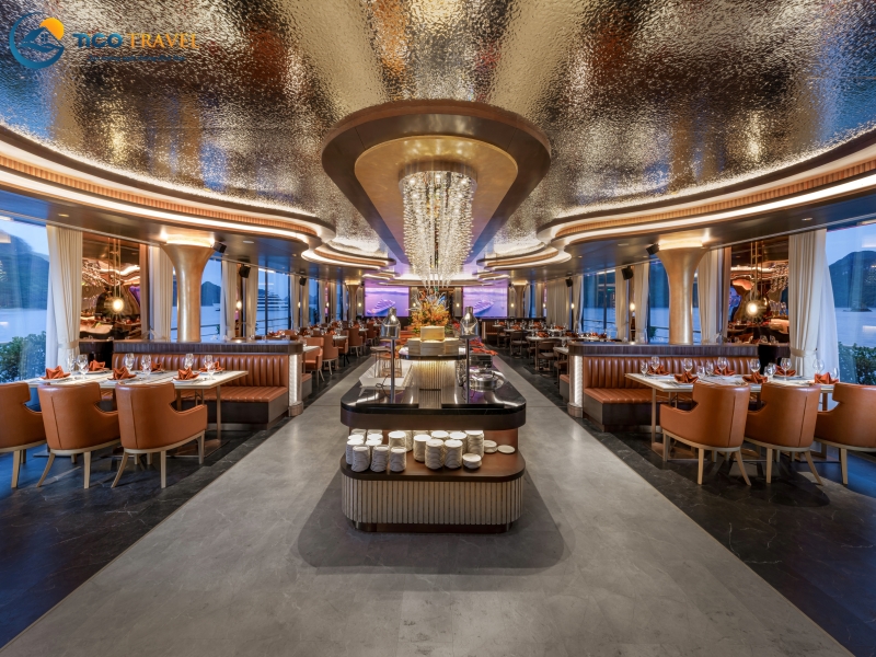 Sea Stars Cruise