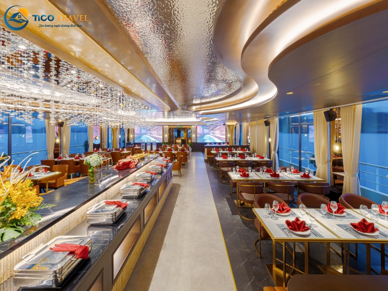 Sea Stars Cruise