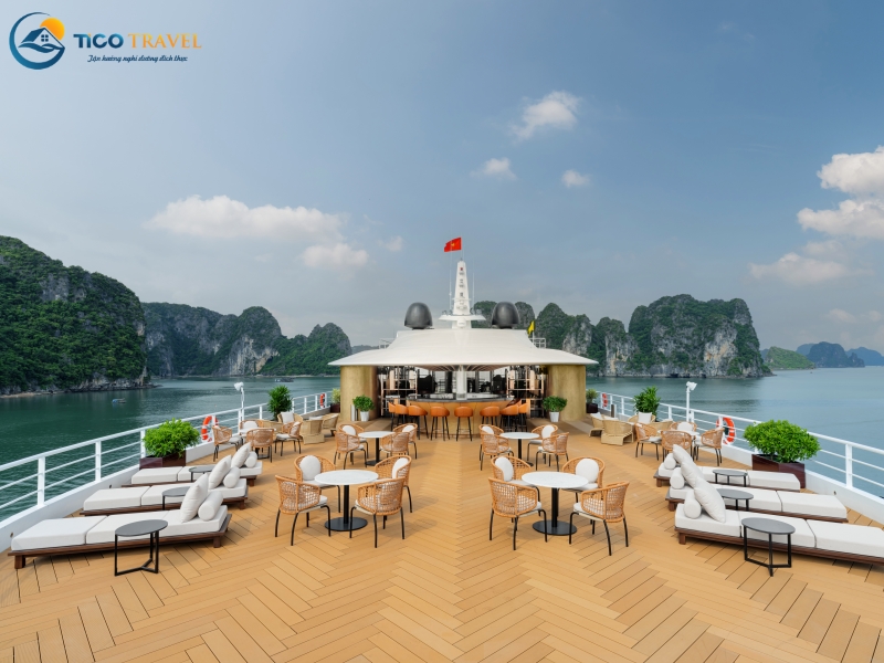 Sea Stars Cruise