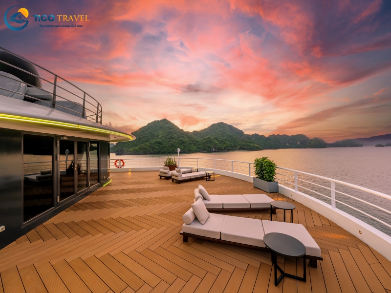 Sea Stars Cruise