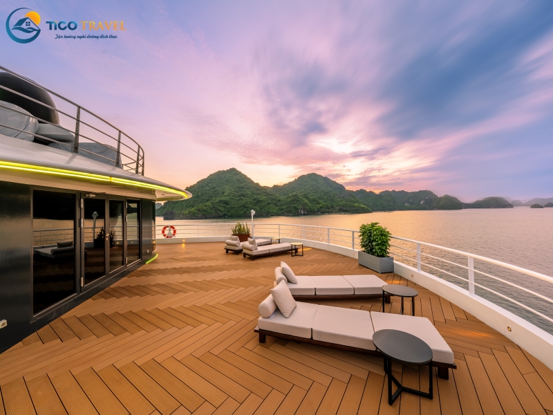 Sea Stars Cruise