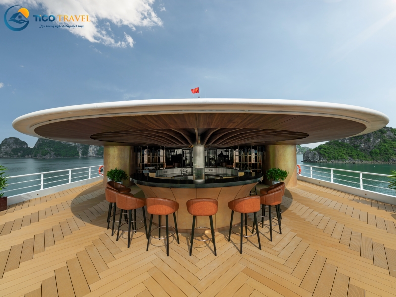 Sea Stars Cruise