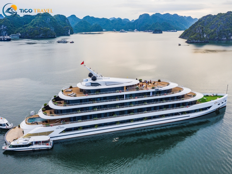 Sea Stars Cruise