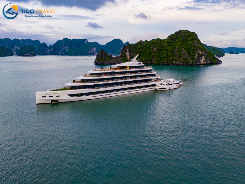 Sea Stars Cruise