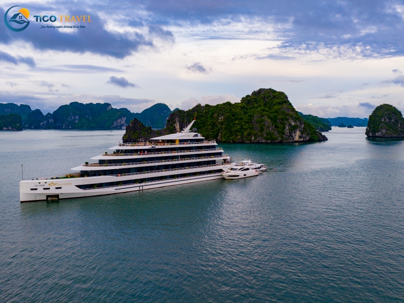 Sea Stars Cruise