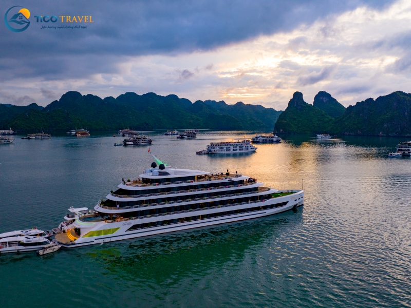 Sea Stars Cruise