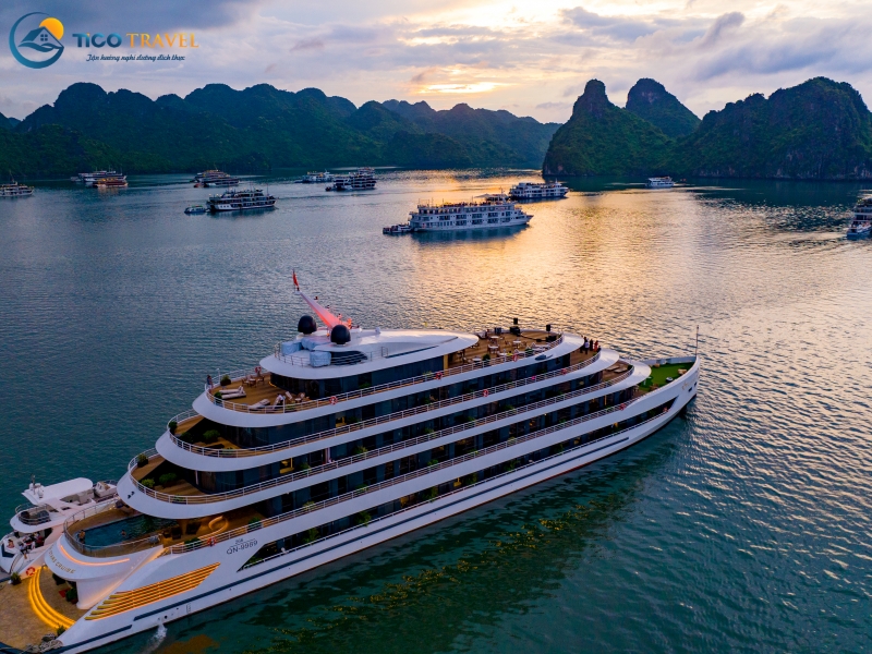 Sea Stars Cruise