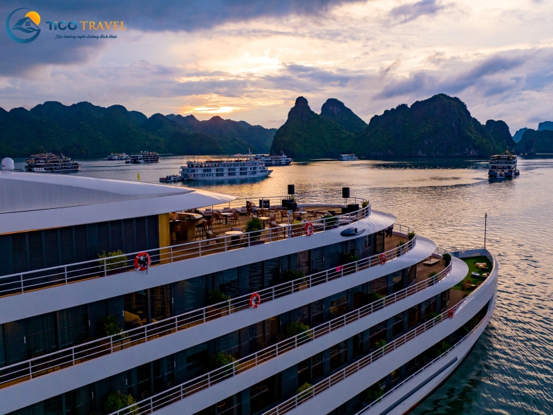 Sea Stars Cruise