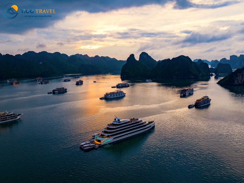 Sea Stars Cruise