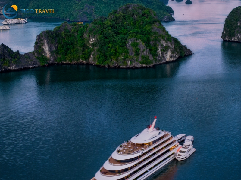 Sea Stars Cruise
