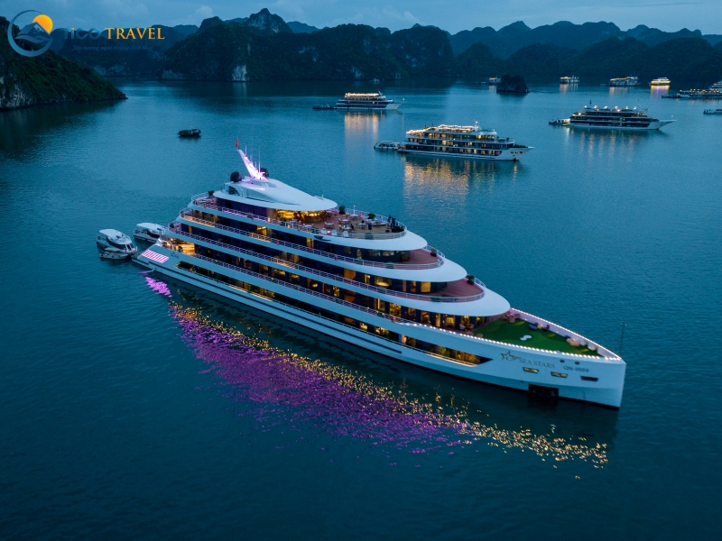 Sea Stars Cruise