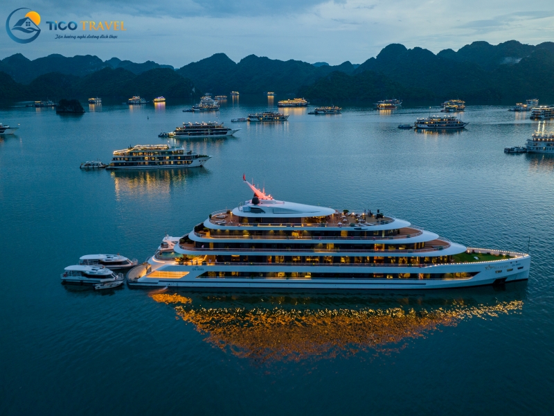Sea Stars Cruise