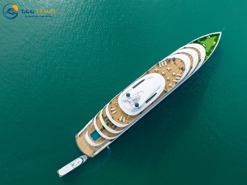 Sea Stars Cruise