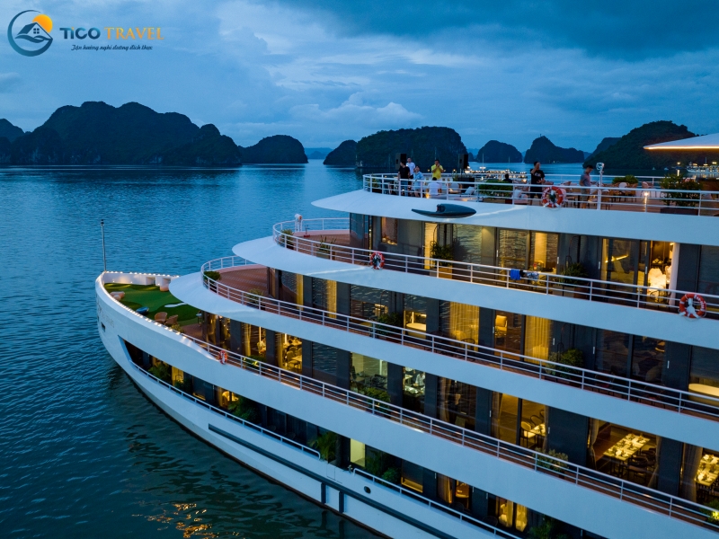 Sea Stars Cruise