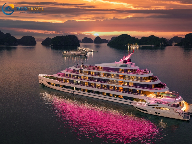 Sea Stars Cruise