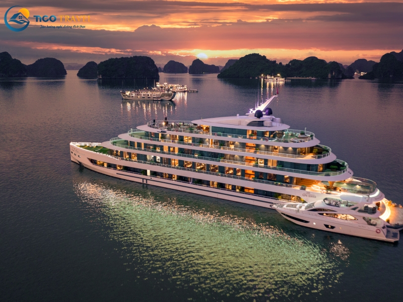 Sea Stars Cruise