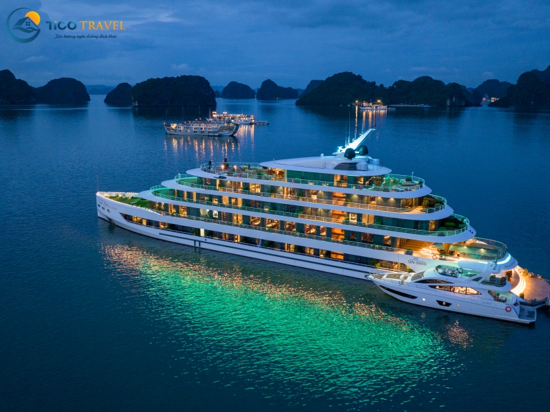 Sea Stars Cruise