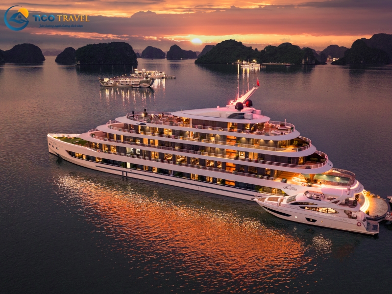 Sea Stars Cruise