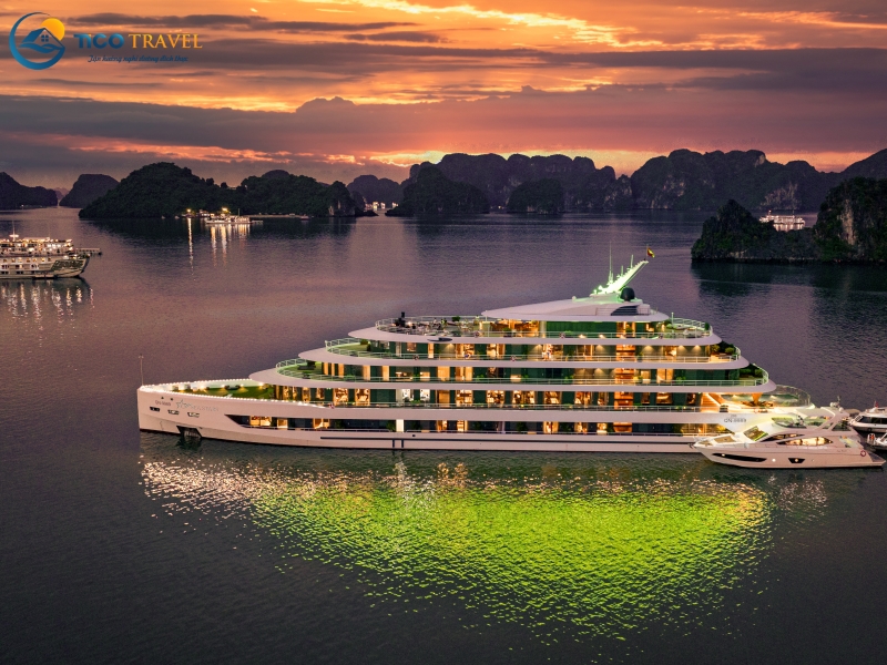 Sea Stars Cruise
