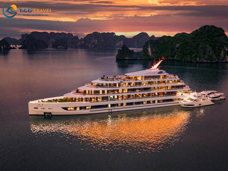 Sea Stars Cruise