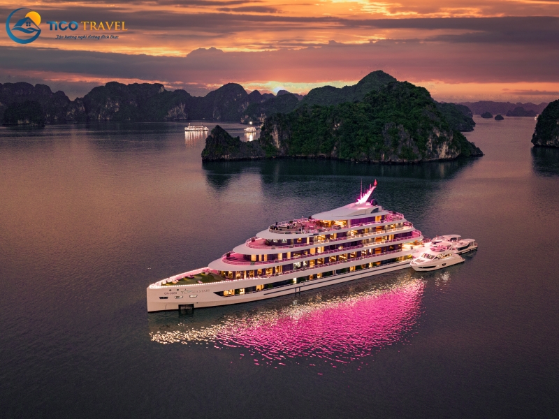 Sea Stars Cruise