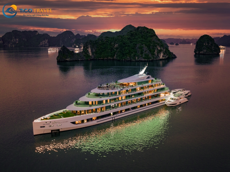 Sea Stars Cruise
