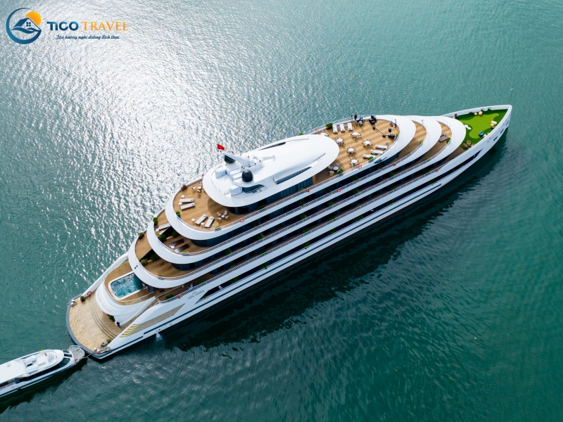 Sea Stars Cruise