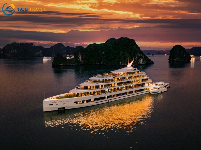 Sea Stars Cruise