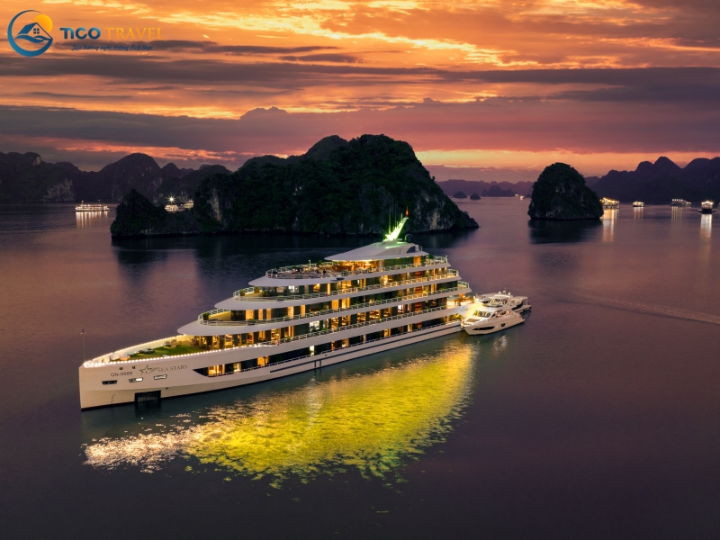 Sea Stars Cruise