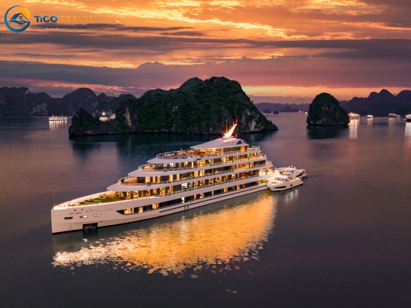 Sea Stars Cruise