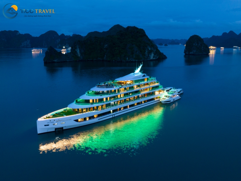 Sea Stars Cruise