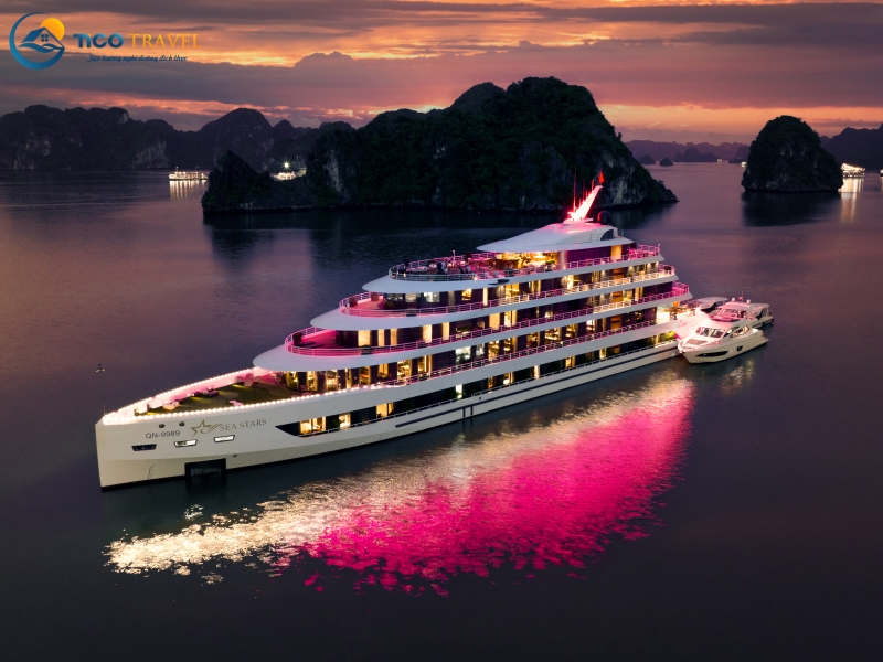 Sea Stars Cruise
