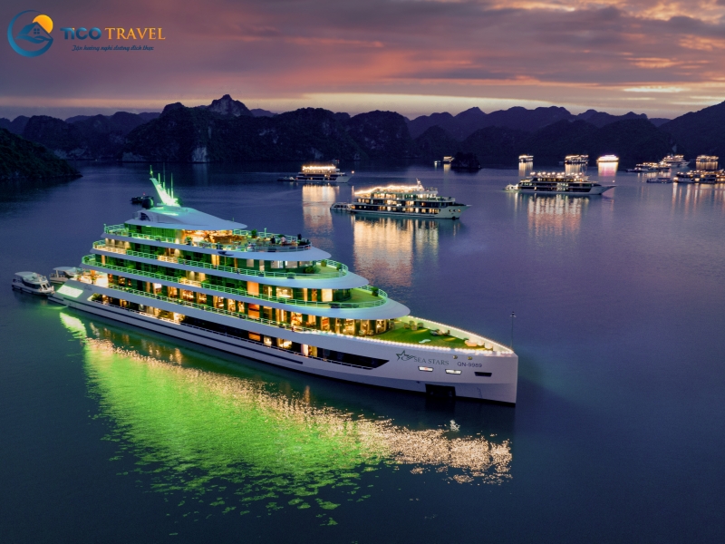 Sea Stars Cruise