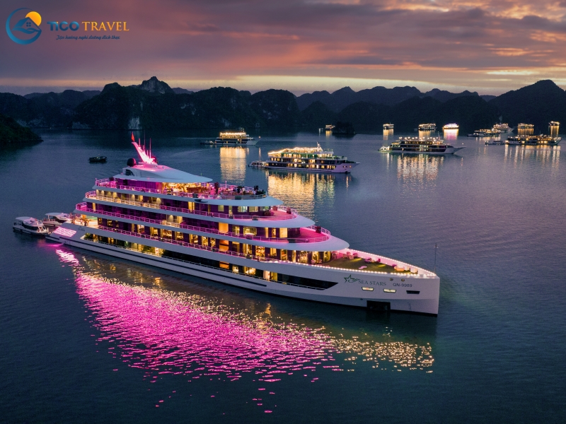 Sea Stars Cruise
