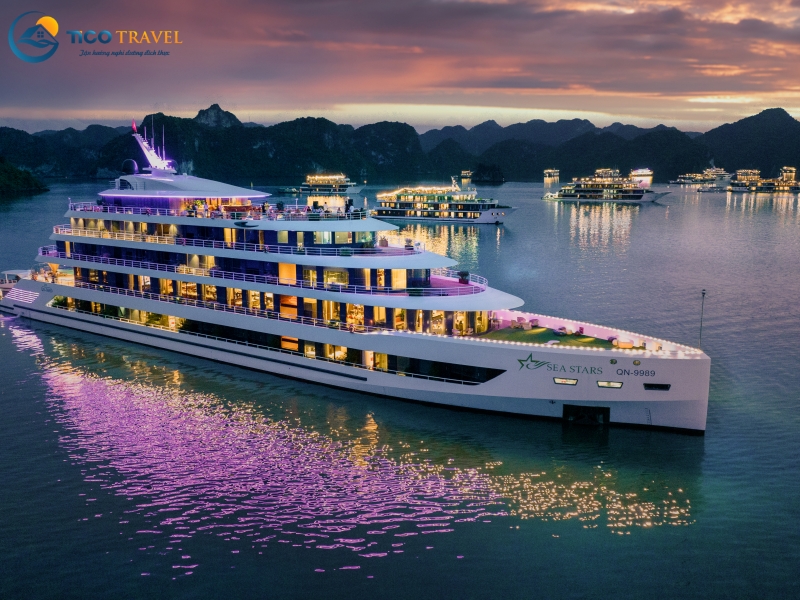 Sea Stars Cruise