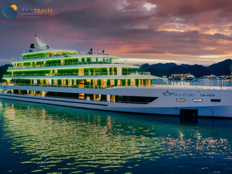 Sea Stars Cruise