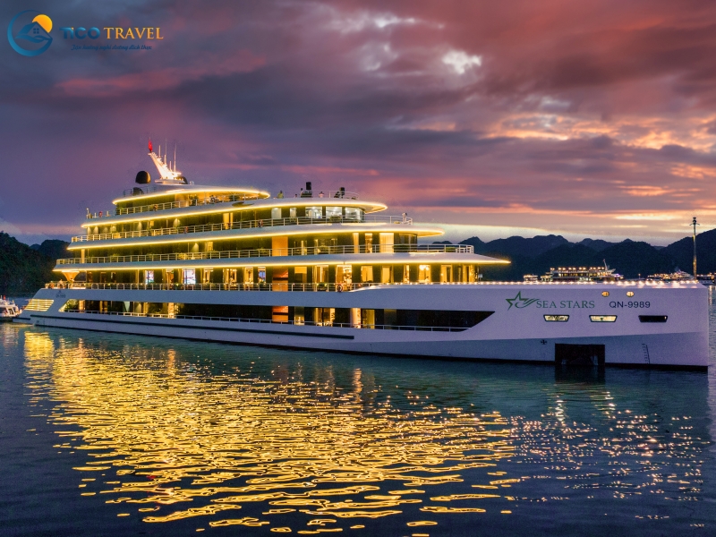 Sea Stars Cruise