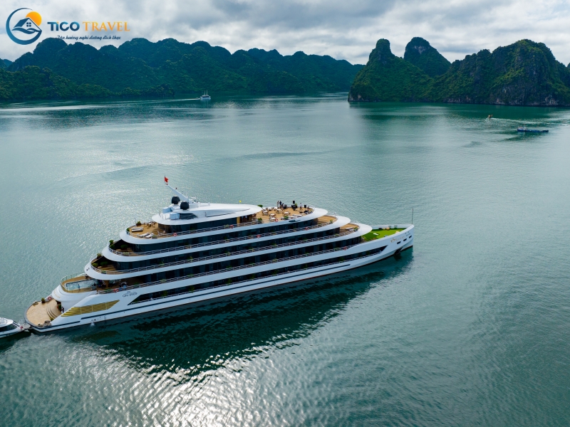 Sea Stars Cruise