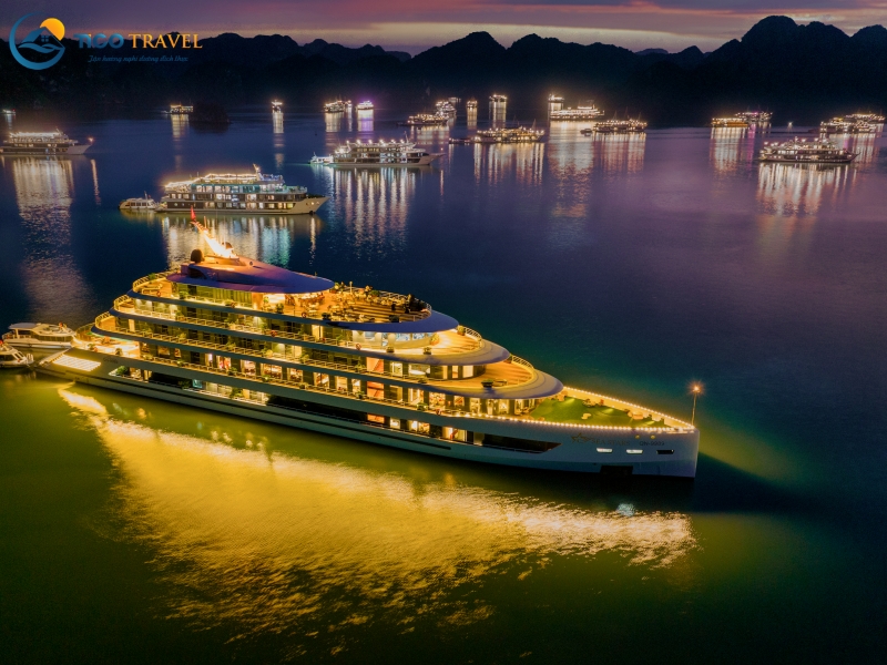 Sea Stars Cruise