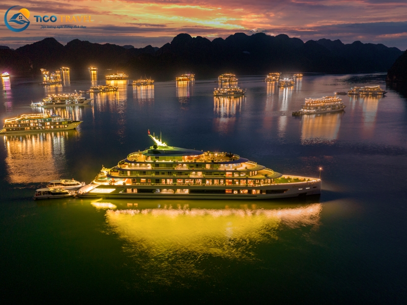 Sea Stars Cruise