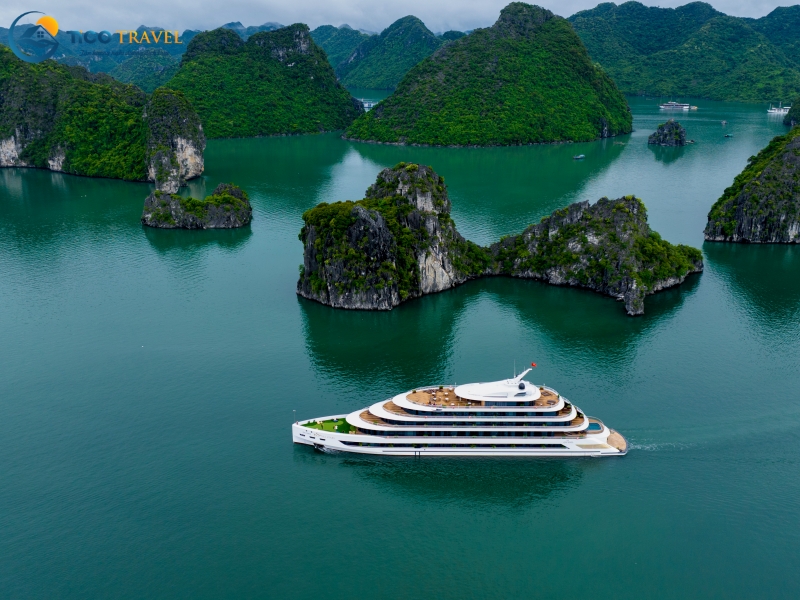 Sea Stars Cruise