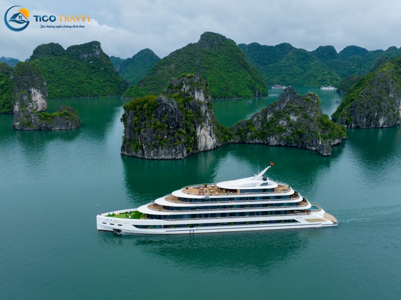 Sea Stars Cruise