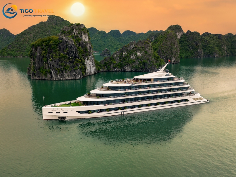 Sea Stars Cruise