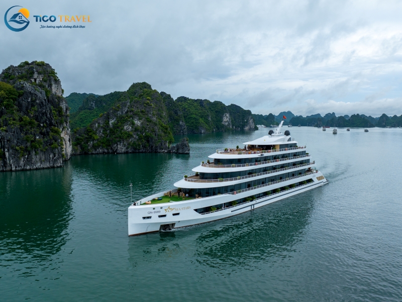 Sea Stars Cruise