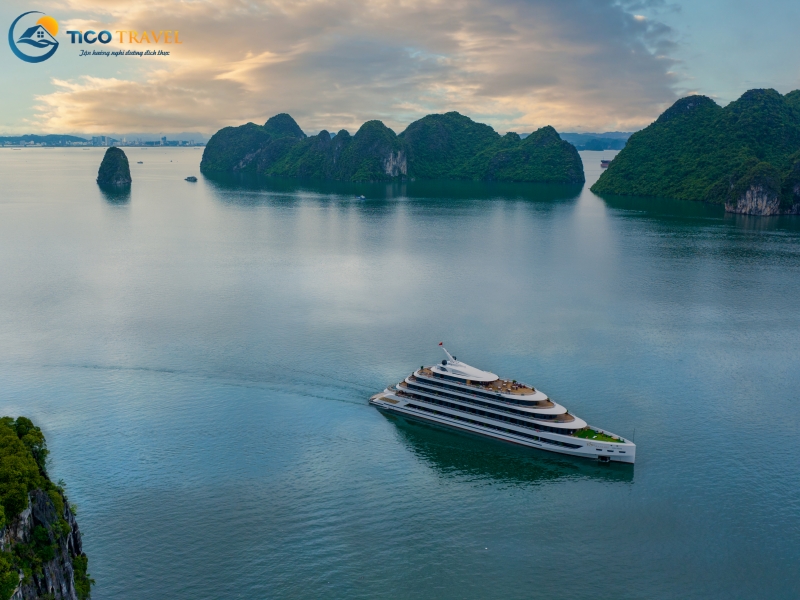 Sea Stars Cruise
